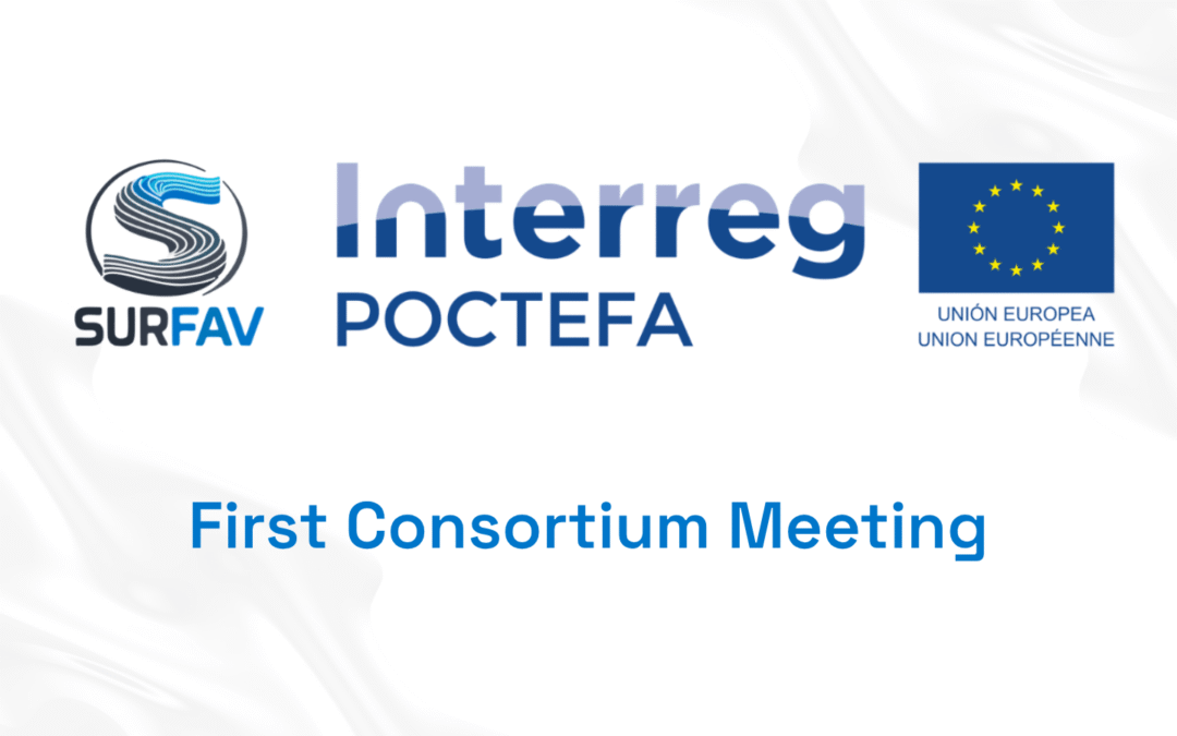 First SURFAV Consortium Meeting